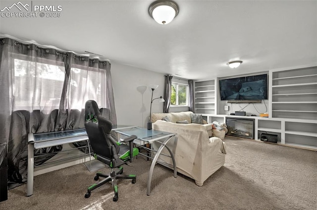 806 N Chelton Rd, Colorado Springs, CO 80909 - living area featuring built in shelves and carpet
