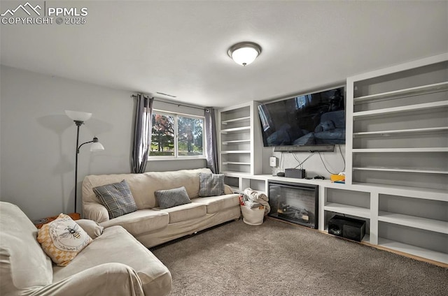 806 N Chelton Rd, Colorado Springs, CO 80909 - carpeted living room with built in features and a glass covered fireplace