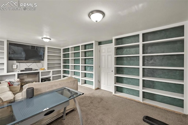 806 N Chelton Rd, Colorado Springs, CO 80909 - view of carpeted home office