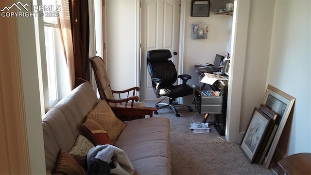 322 Platte Ct, Colorado Springs, CO 80903 - view of carpeted home office