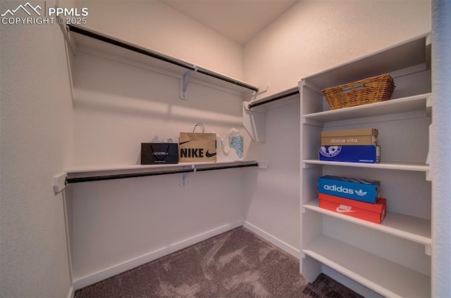 walk in closet with dark colored carpet
