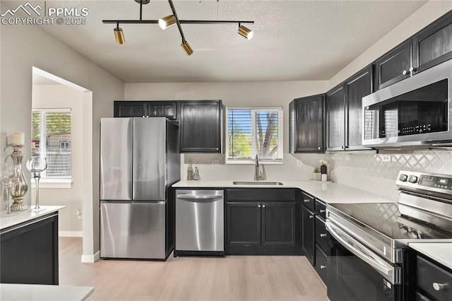 kitchen with stainless steel appliances, plenty of natural light, a sink, and light wood-style flooring