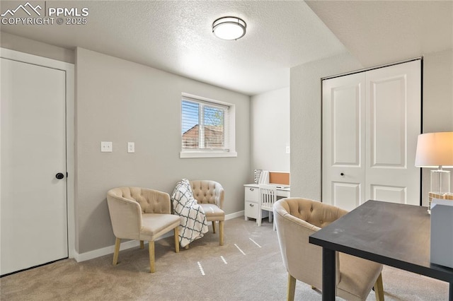 office featuring light colored carpet, a textured ceiling, and baseboards