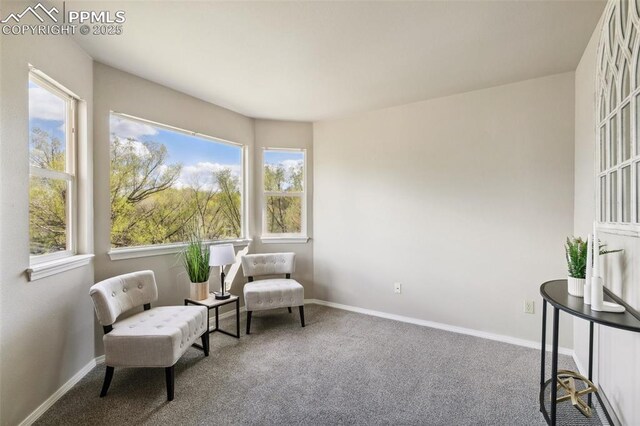 7665 Calloway Ct, Colorado Springs, CO 80919 - sitting room with carpet, plenty of natural light, and baseboards