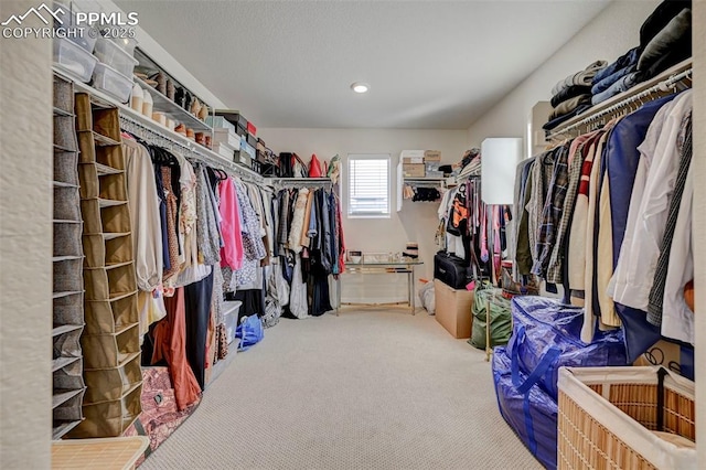 9773 Marble Canyon Way, Peyton, CO 80831 - spacious closet with carpet flooring