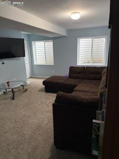 6290 Pilgrimage Rd, Colorado Springs, CO 80925 - carpeted living area with baseboards
