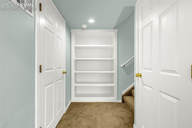 walk in closet with carpet flooring