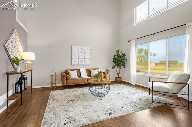 living area featuring baseboards, a high ceiling, and wood finished floors