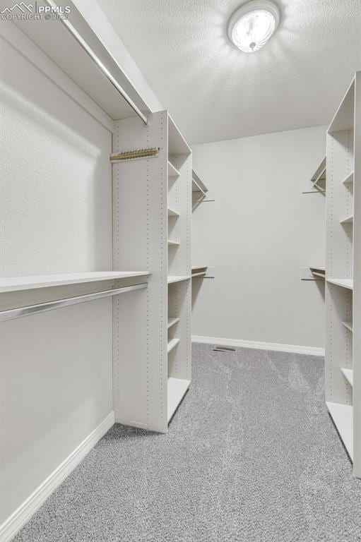 walk in closet with carpet flooring