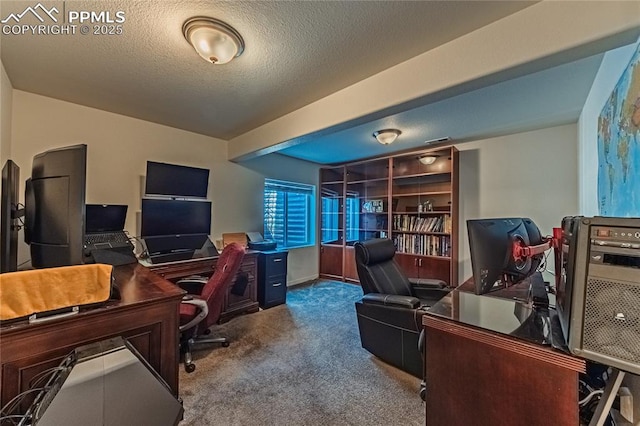 carpeted office space with a textured ceiling