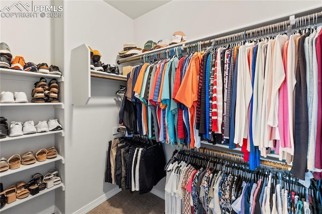 6471 Cisco Kid Way, Colorado Springs, CO 80923 - walk in closet featuring carpet flooring