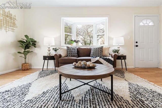 living area featuring baseboards and wood finished floors