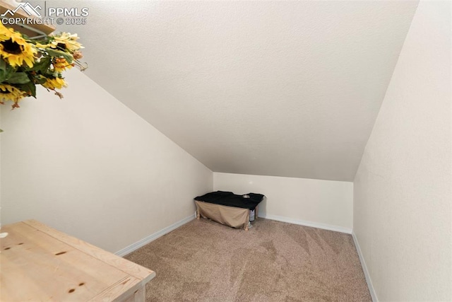 3245 Chestnut Glen Ln, Colorado Springs, CO 80918 - spacious closet with vaulted ceiling and carpet floors