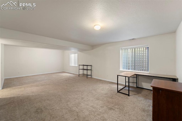 3245 Chestnut Glen Ln, Colorado Springs, CO 80918 - bonus room featuring carpet floors and a textured ceiling