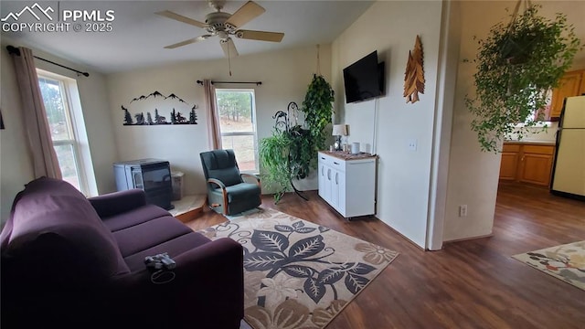 living area featuring ceiling fan and wood finished floors