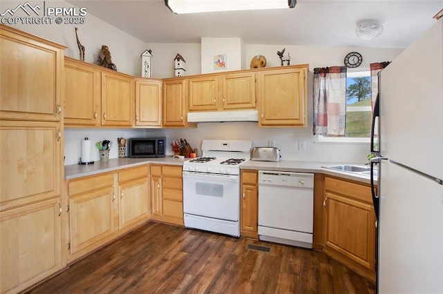 kitchen featuring light brown cabinetry, dark wood-style flooring, under cabinet range hood, and white appliances