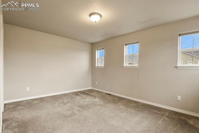 8806 Bella Flora Hts, Colorado Springs, CO 80924 - empty room with carpet and baseboards