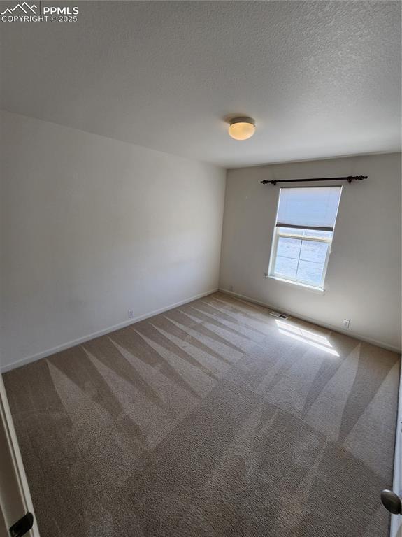 3928 Diamond Ridge Vw, Colorado Springs, CO 80918 - unfurnished room featuring carpet flooring, baseboards, and a textured ceiling