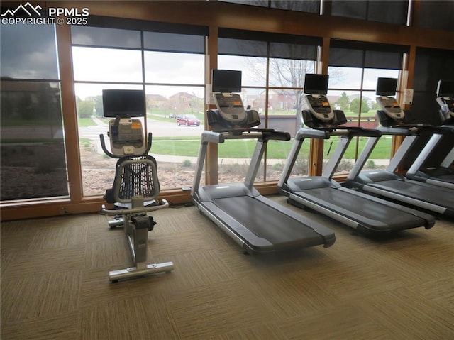 8356 Longleaf Ln, Colorado Springs, CO 80927 - exercise room with carpet flooring