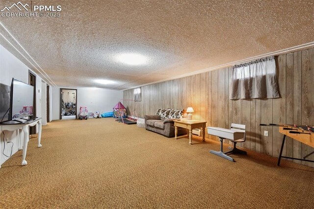 790 2nd Ave, Deer Trail, CO 80105 - sitting room with a textured ceiling, carpet flooring, and wooden walls