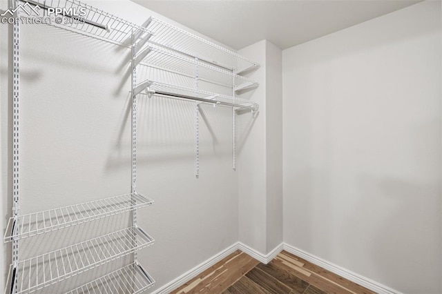 walk in closet featuring wood finished floors