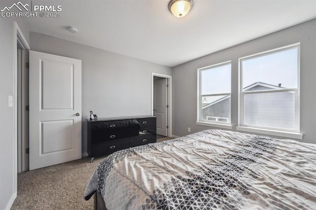 460 S 3rd Ave, Deer Trail, CO 80105 - bedroom with carpet flooring