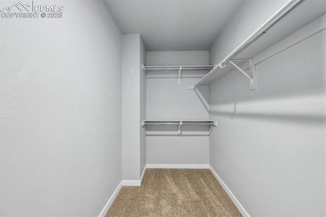 460 S 3rd Ave, Deer Trail, CO 80105 - spacious closet featuring carpet