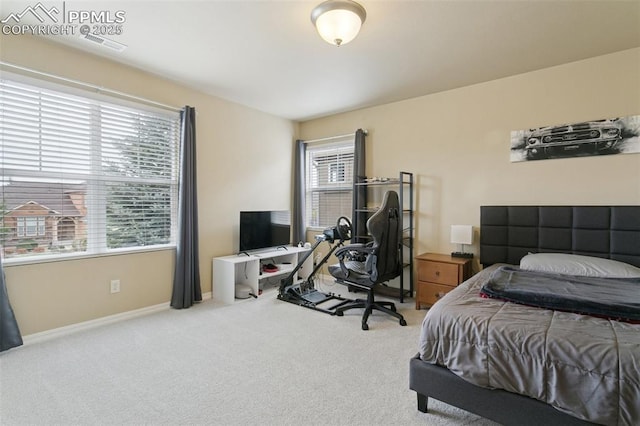 5019 Petrified Forest Trl, Colorado Springs, CO 80924 - carpeted bedroom with baseboards