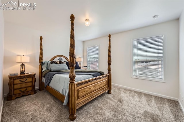 4157 Gray Fox Hts, Colorado Springs, CO 80922 - bedroom with carpet flooring, baseboards, and multiple windows