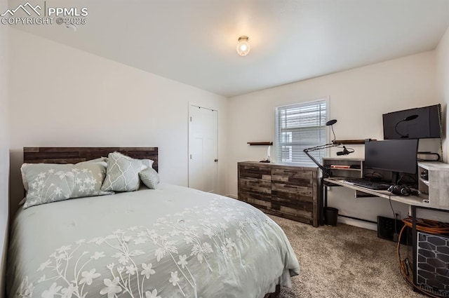 4157 Gray Fox Hts, Colorado Springs, CO 80922 - bedroom with carpet flooring