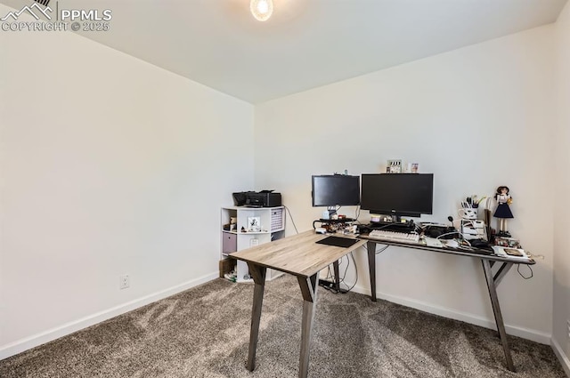 4157 Gray Fox Hts, Colorado Springs, CO 80922 - carpeted office space featuring baseboards