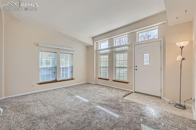 4578 Gray Fox Hts Unit 52, Colorado Springs, CO 80922 - foyer with carpet floors
