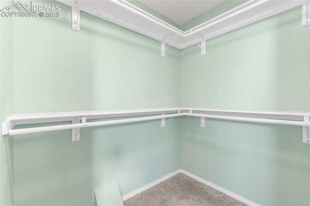 walk in closet with carpet