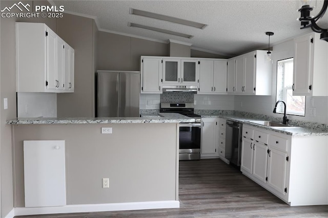 4663 Pine Marten Pt, Colorado Springs, CO 80922 - kitchen with appliances with stainless steel finishes, vaulted ceiling, a sink, ornamental molding, and under cabinet range hood