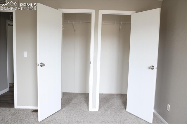 4663 Pine Marten Pt, Colorado Springs, CO 80922 - view of closet