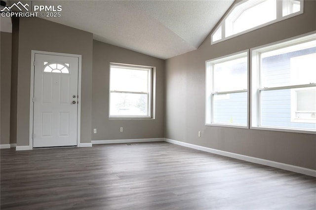 4663 Pine Marten Pt, Colorado Springs, CO 80922 - entrance foyer featuring plenty of natural light, a textured ceiling, wood finished floors, and vaulted ceiling