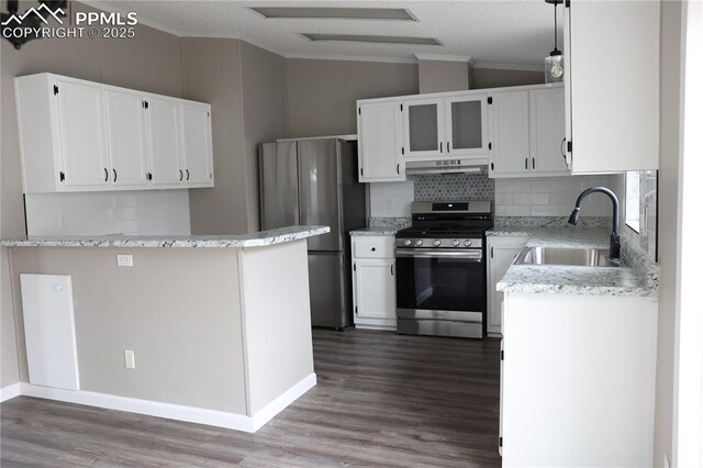 4663 Pine Marten Pt, Colorado Springs, CO 80922 - kitchen with decorative backsplash, ornamental molding, under cabinet range hood, a sink, and stainless steel appliances