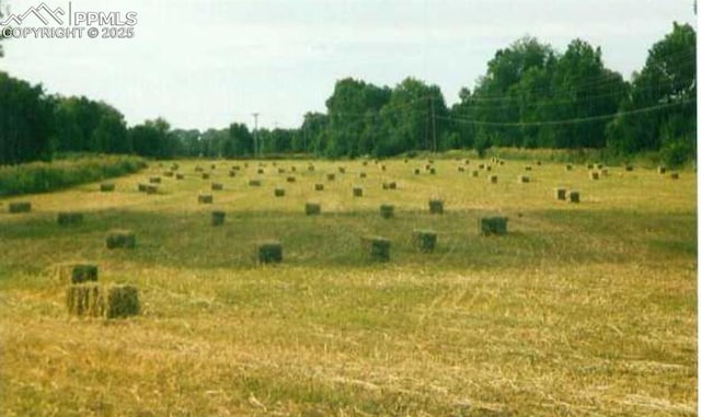 view of nature featuring a rural view