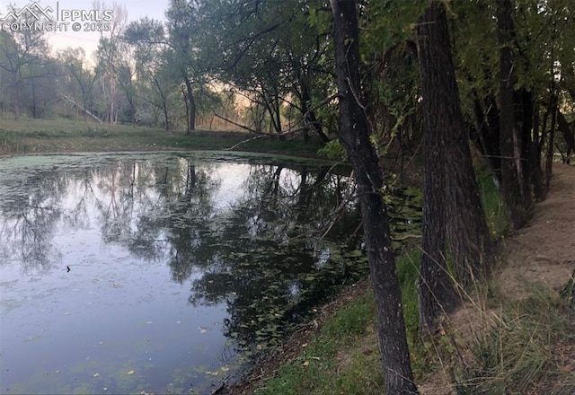 view of water feature