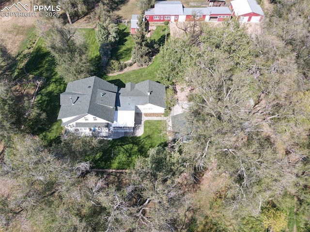 bird's eye view