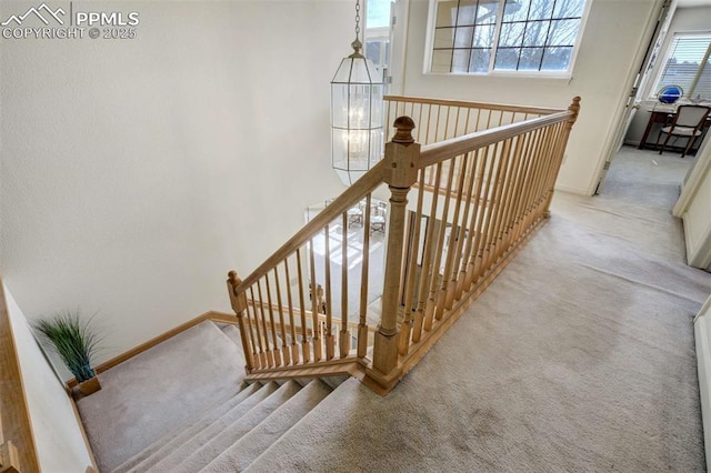 7850 Wilderness Dr, Colorado Springs, CO 80908 - stairway with carpet floors and baseboards
