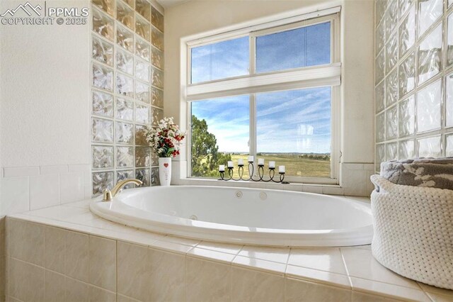 7850 Wilderness Dr, Colorado Springs, CO 80908 - full bathroom featuring a garden tub