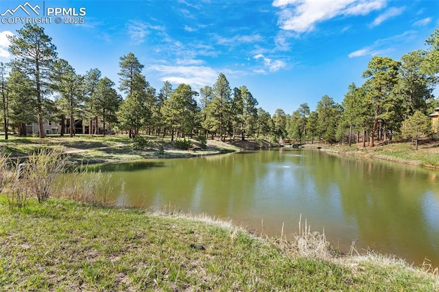 4415 Hidden Rock Rd, Colorado Springs, CO 80908 - water view