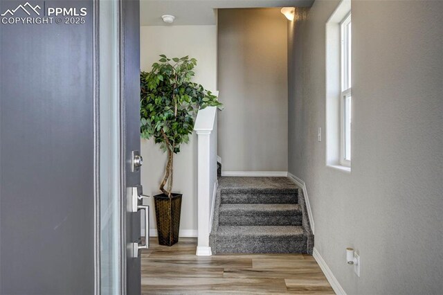 7352 Cornice Pt, Colorado Springs, CO 80923 - staircase featuring baseboards and wood finished floors