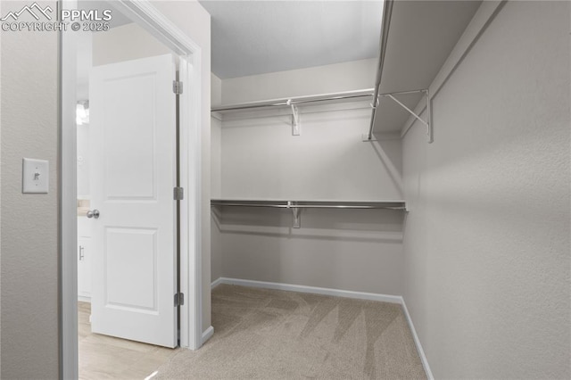 walk in closet with light colored carpet