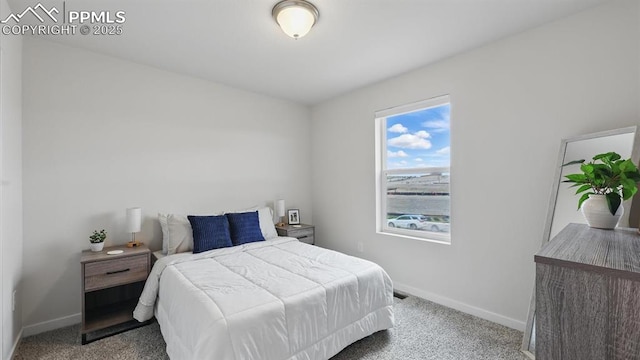 6555 Roundtail Way, Colorado Springs, CO 80925 - carpeted bedroom with baseboards