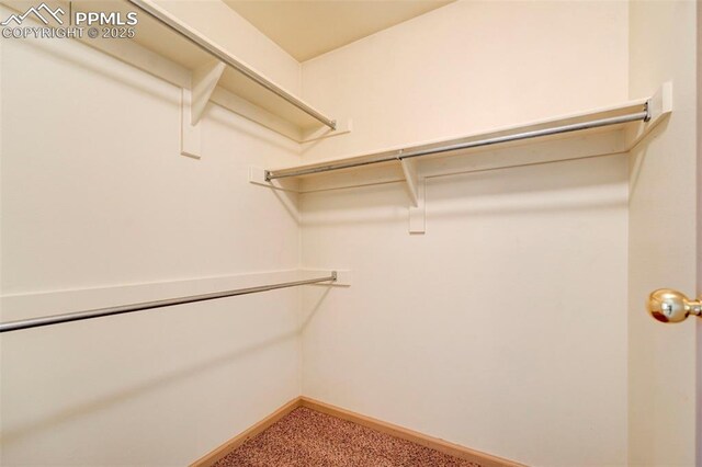 1120 Pipestone Ct, Colorado Springs, CO 80911 - spacious closet with light carpet