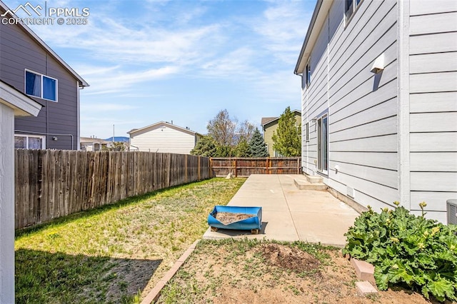 view of yard featuring a patio area