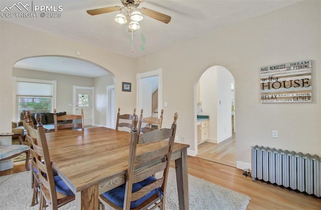 dining room featuring radiator, light wood-type flooring, a ceiling fan, and arched walkways