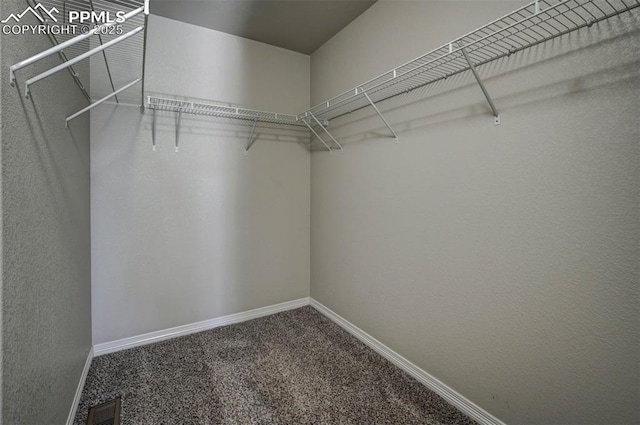 walk in closet with carpet flooring and visible vents